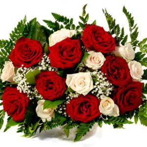 17 red and white roses